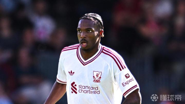 ��������Ҷ�ֱ��_��������Ҷ���Ѹ���ֱ��_��������Ҷ�ֱ���޲������ԢĿ